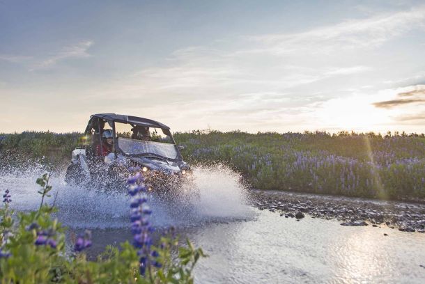 island buggy