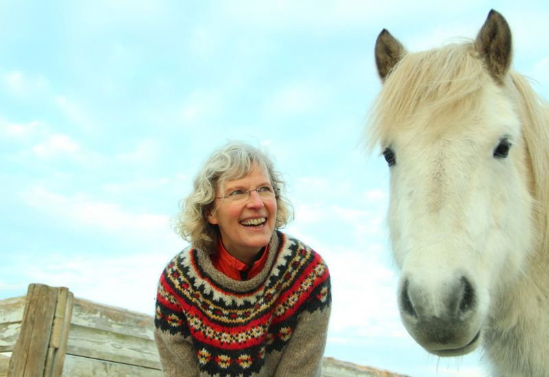 Islandshäst i naturen