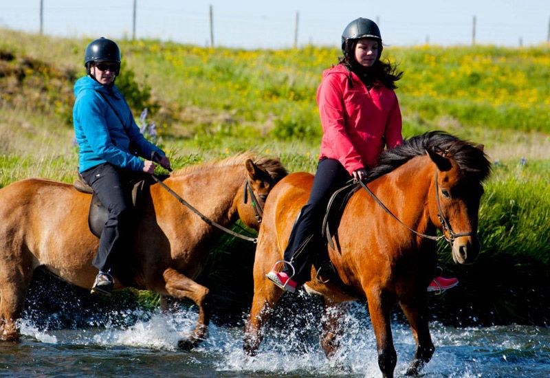 Ridning och vandring Gyllene Cirkeln