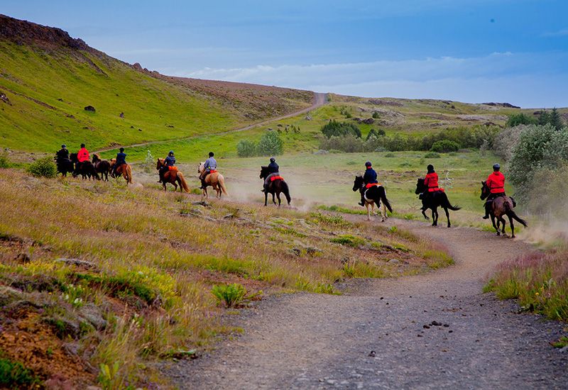 Islandsk naturupplevelse med häst