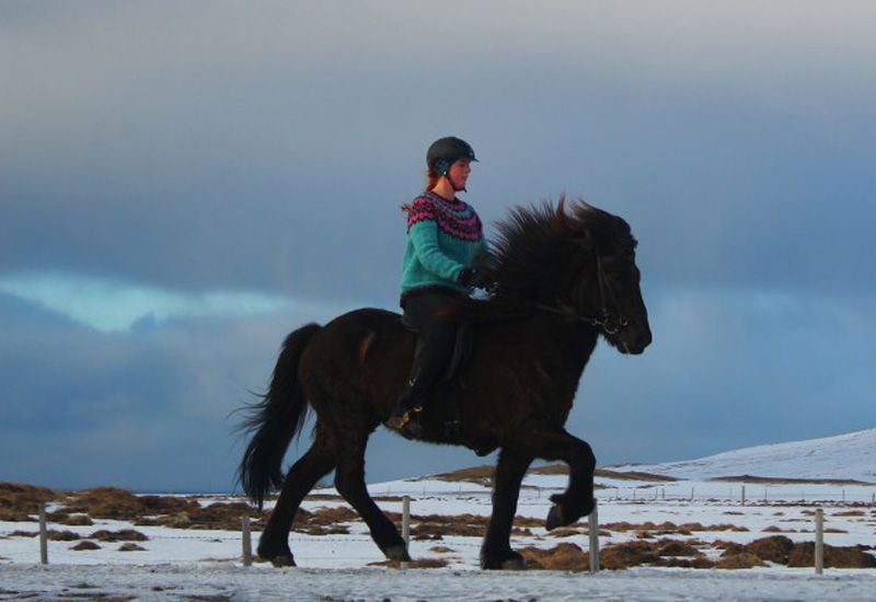 Hestasport ridning i Varmahlíð