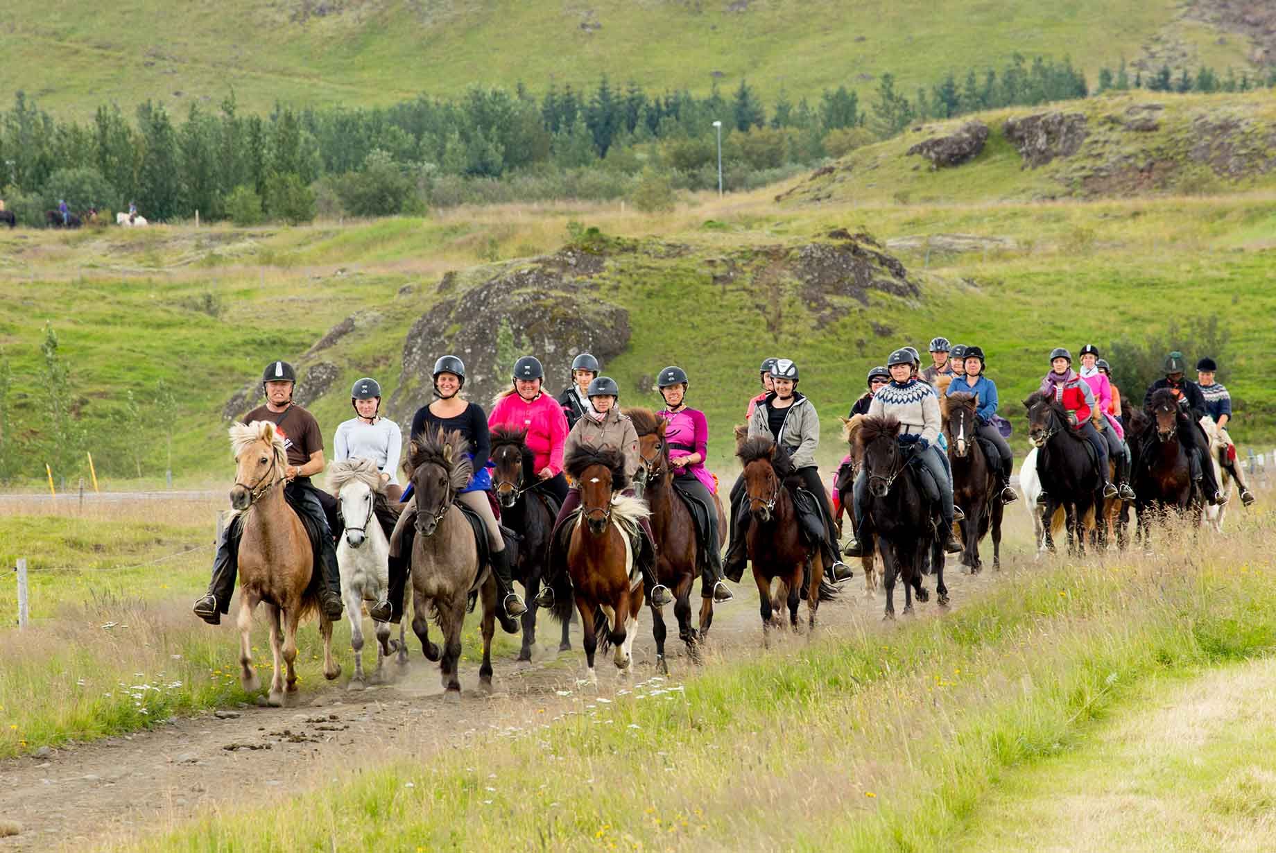Ridtur Gyllene Cirkeln Island