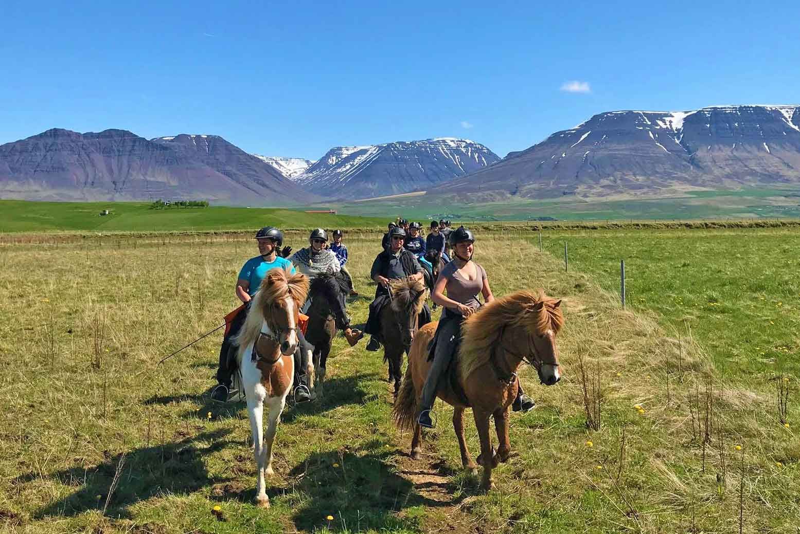 Ridning Norra Island för erfarna