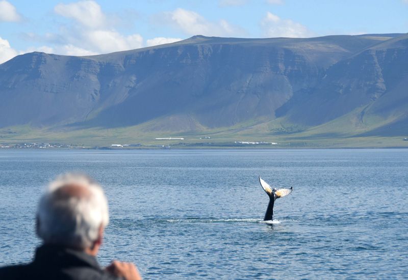 Se valar och paddla forsränning
