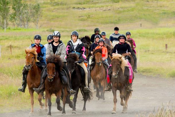 MELLAN ÄNG OCH FJÄLL