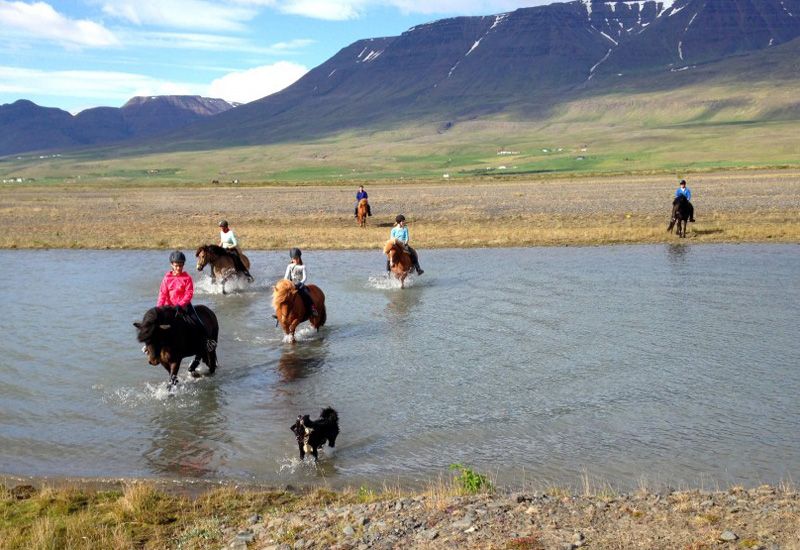 Ridning med utsikt i Norra Island