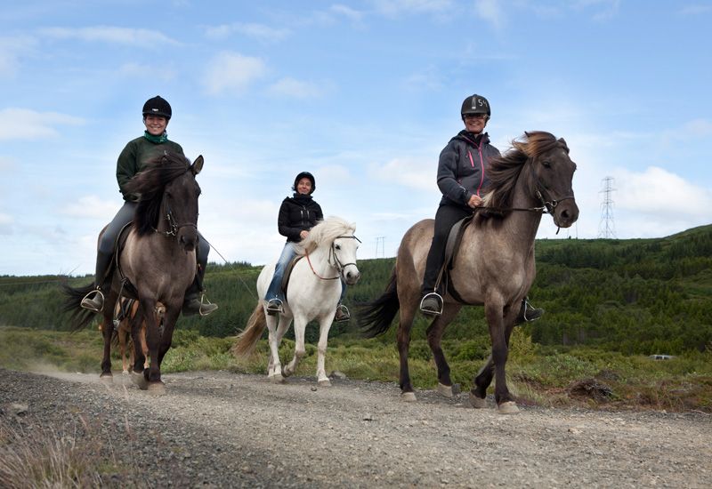 Ridtur med utbildade guider