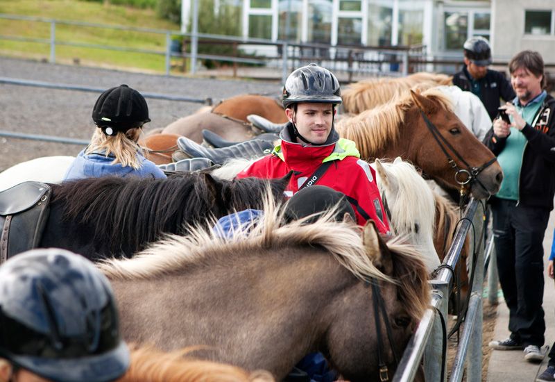 Naturupplevelse med tölt