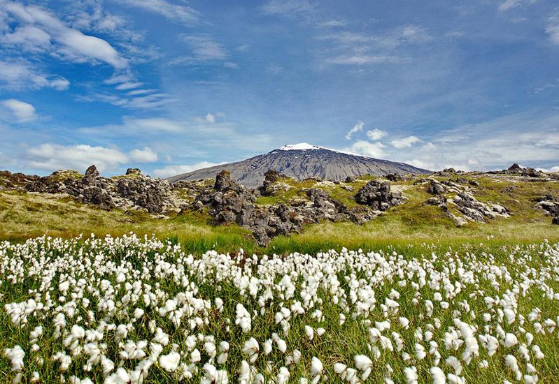 fiskebyar snæfellsnes