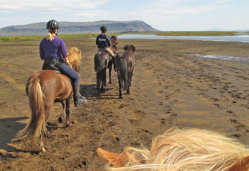 Hästridning vid Ölfusá-floden