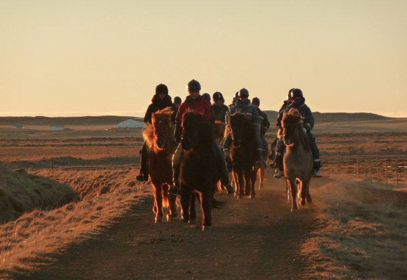 Tölt på ridstig Island