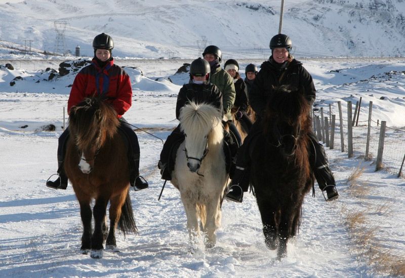 Ridning i Hveragerði med utsikt