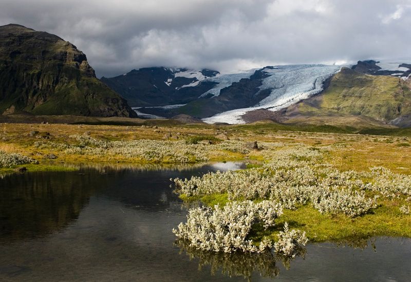 island glaciäräventyr