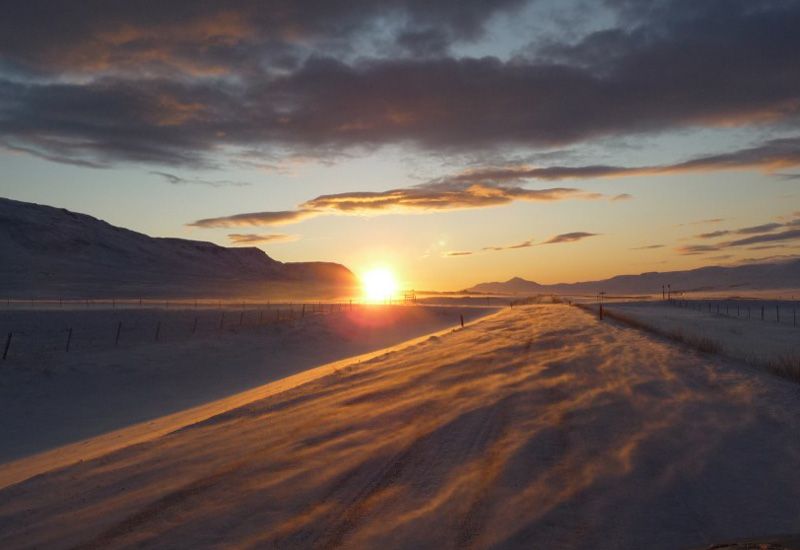 Tölt med islandshäst