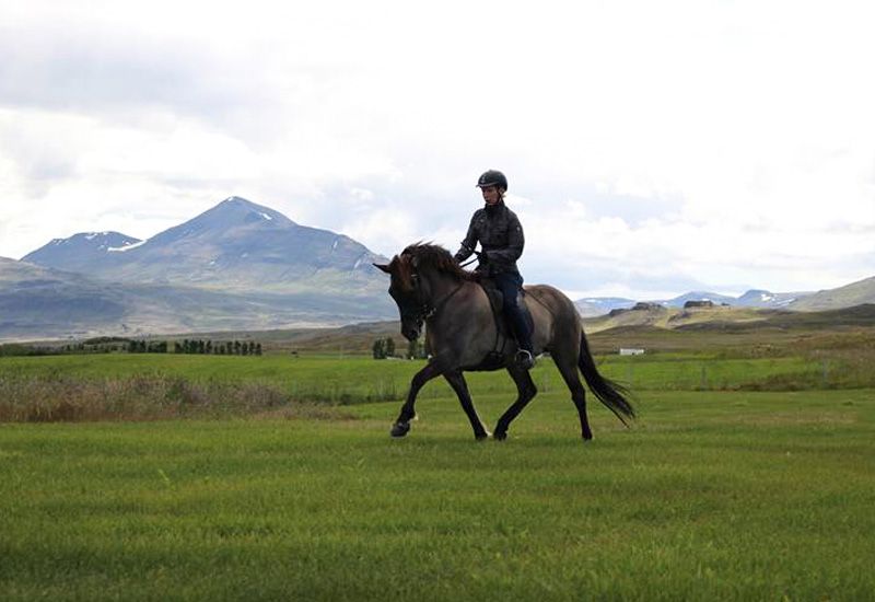 Ridning med utsikt i Norra Island