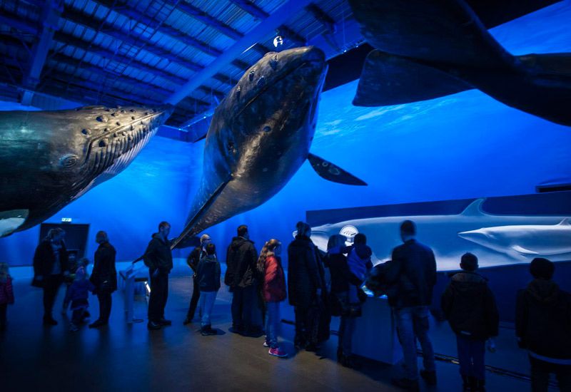 aktiviteter inomhus reykjavik