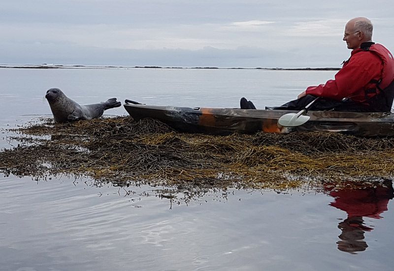 stokkseyri kajakupplevelse