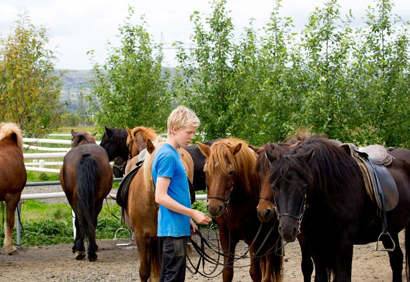 Ridtur över flod och äng