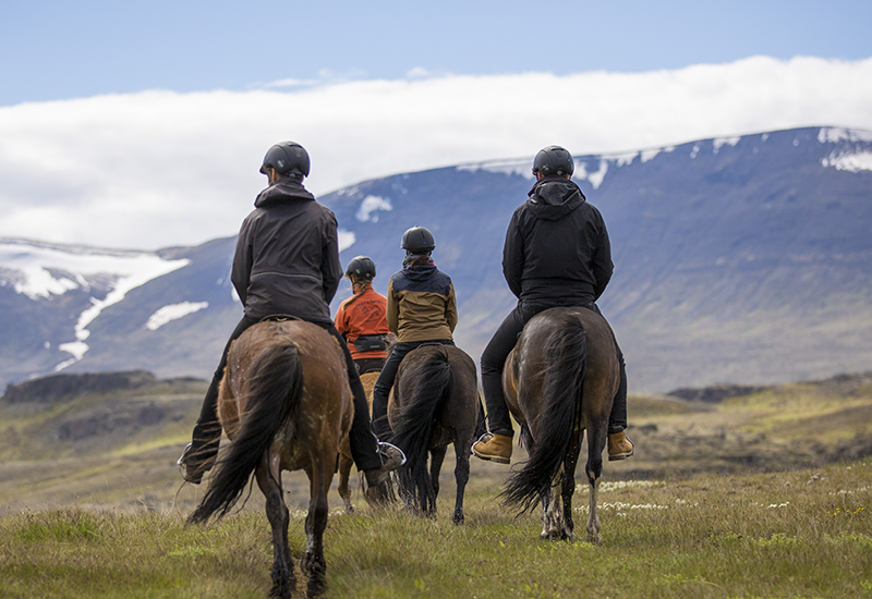 Hästridning Norra Island