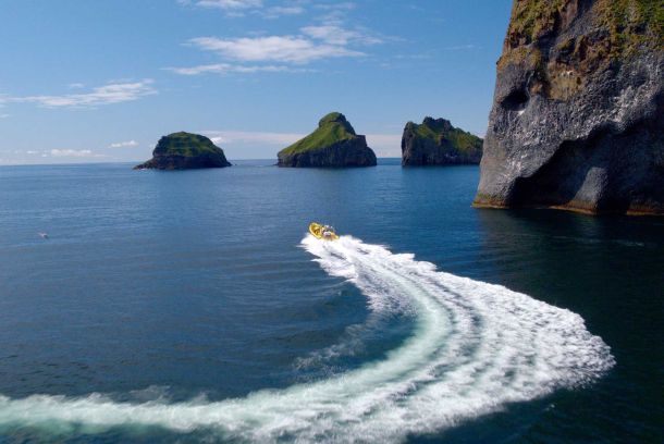 ribbsafari västmannaöarna