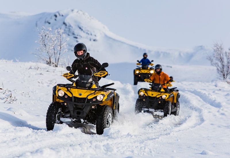 Quadbike Island natur