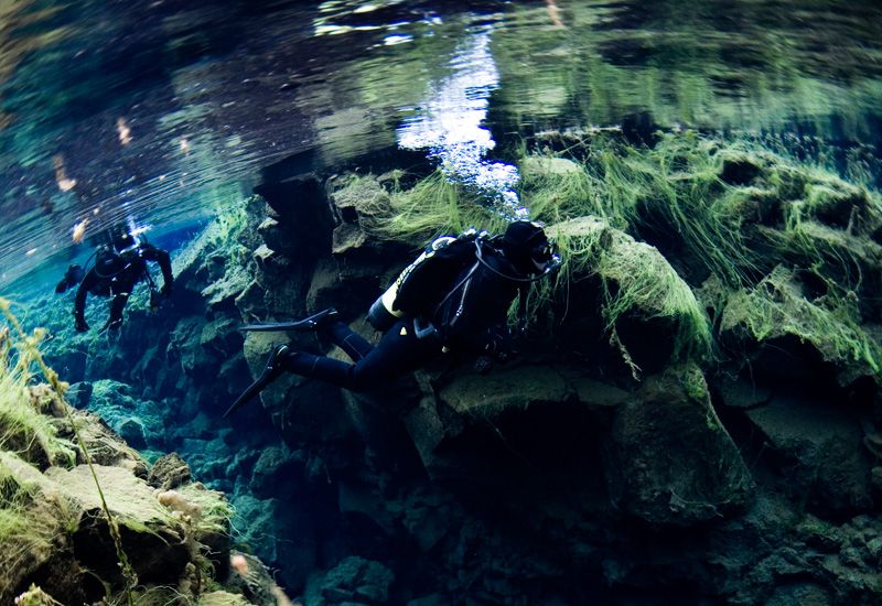 Glaciärdykning Thingvellir