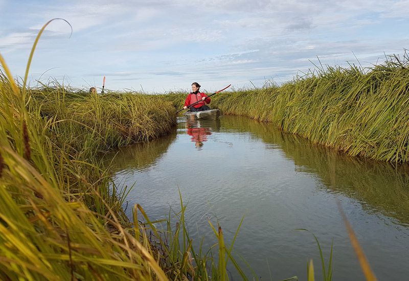 island sommaräventyr