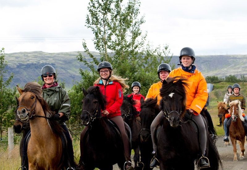 Tölt genom lavalandskap