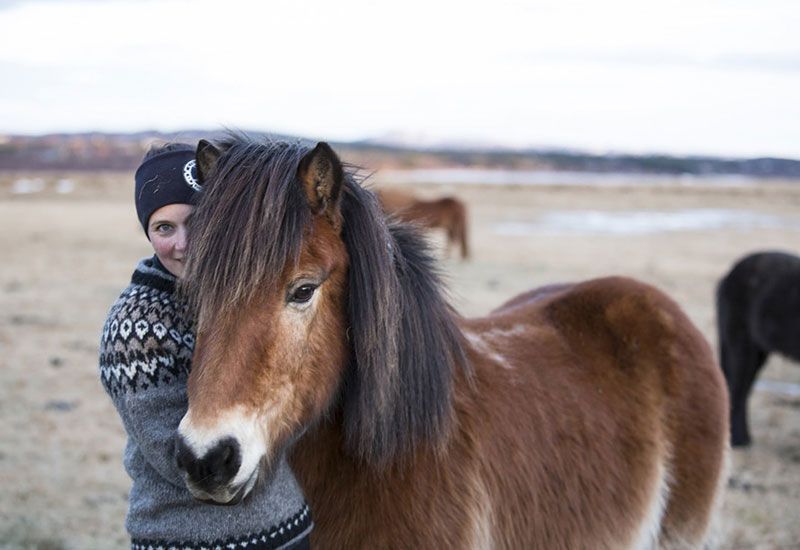 Tölt med islandshäst