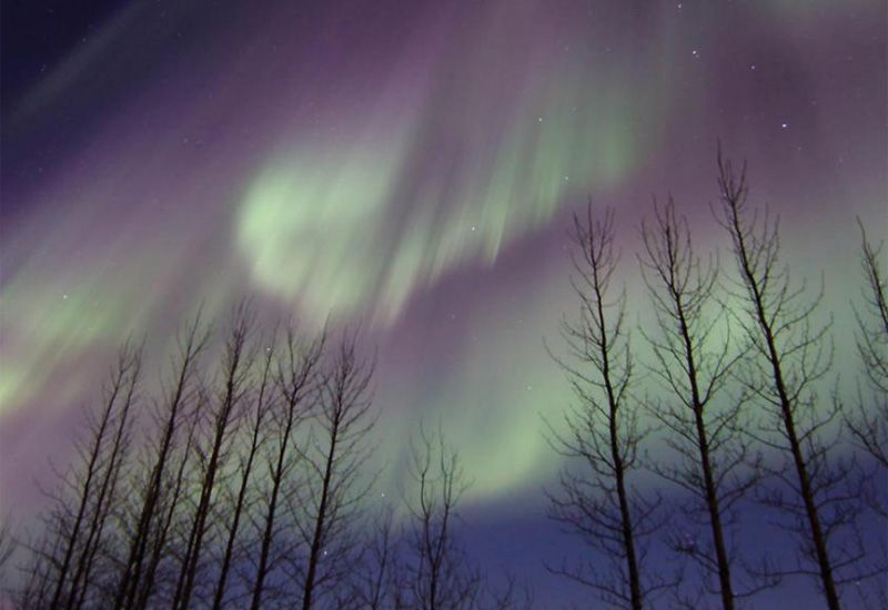 island aktiviteter vinter