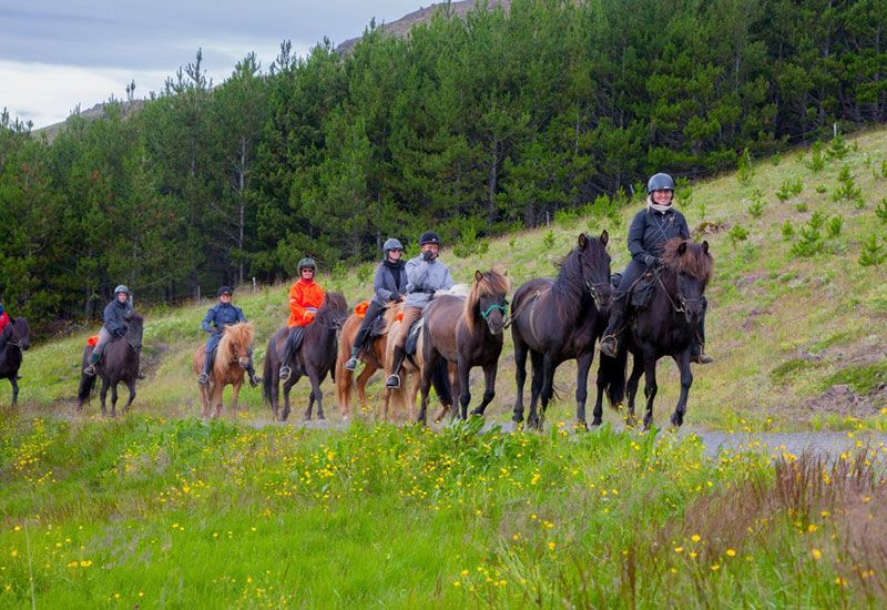 Ryttarupplevelse i södra Island
