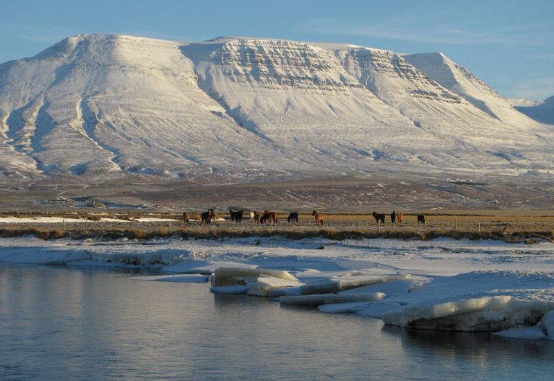Ridning på böndernas stigar