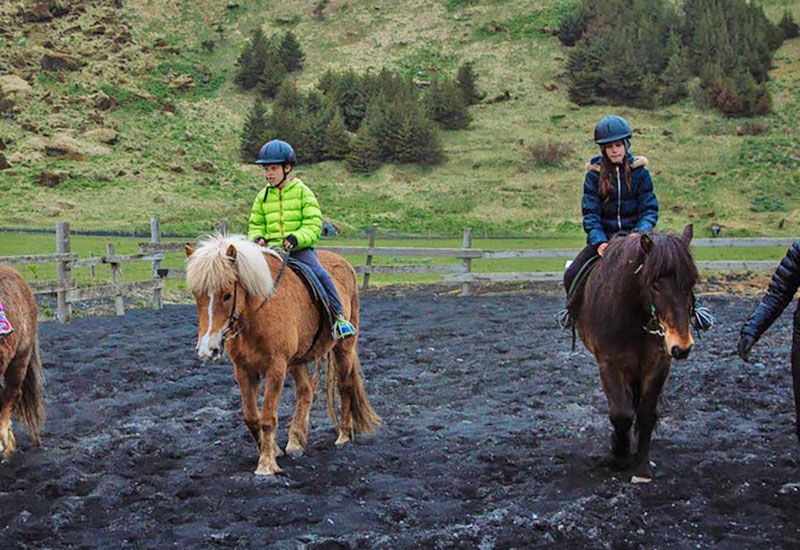Isländska hästar för barn Vík