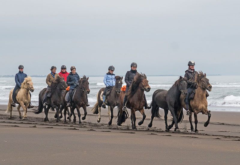 Ridtur längs Atlantkusten Island