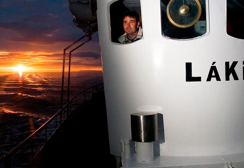 Höstvalsafari Hólmavík