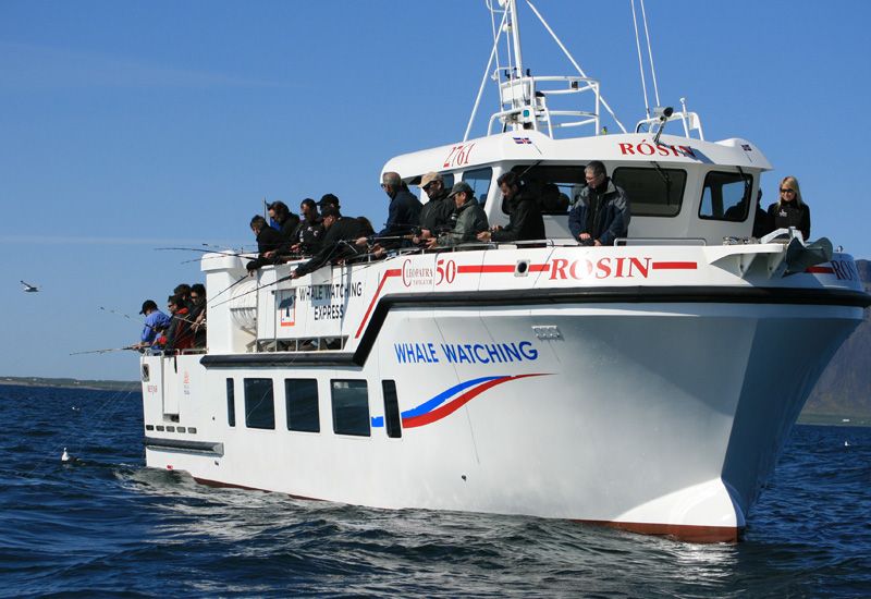 fisketur från Reykjaviks hamn