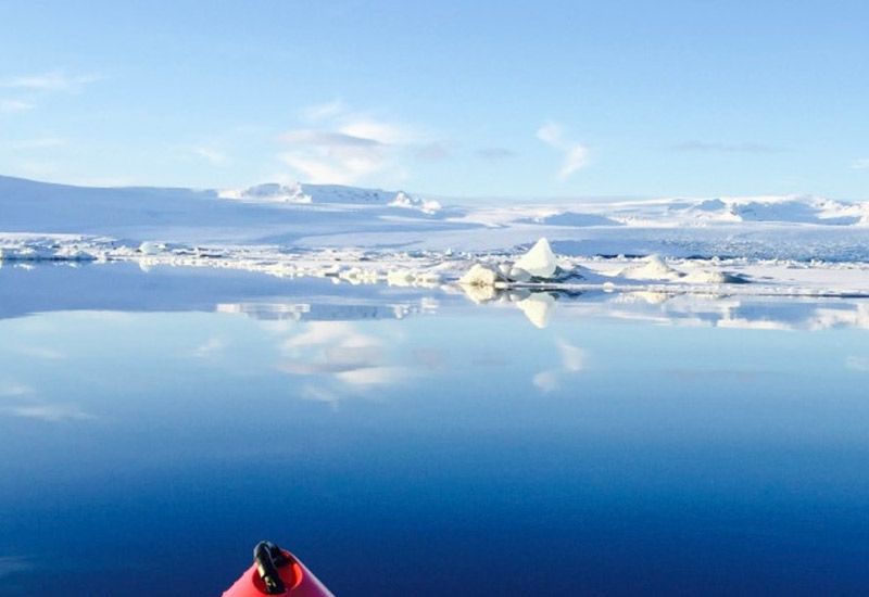 sälsafari i kajak island