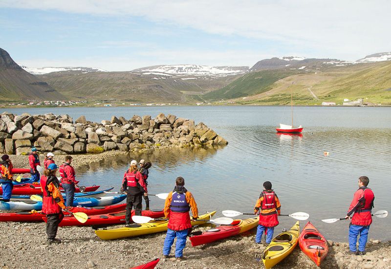 kajak och sälar island
