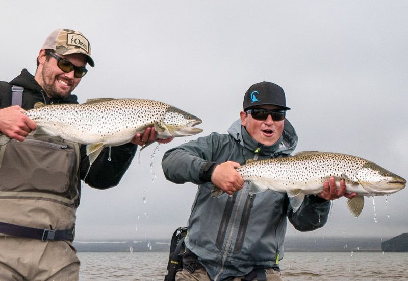 privat fiskeguide Island