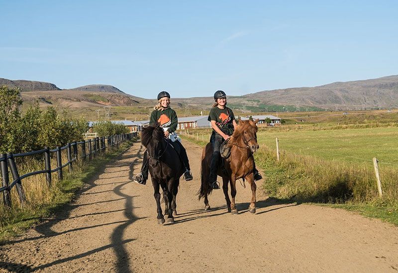 Familjevänlig ridning Ölfus