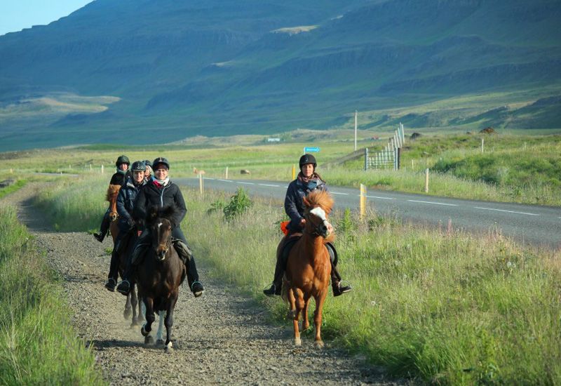 Upplev ridning på Island