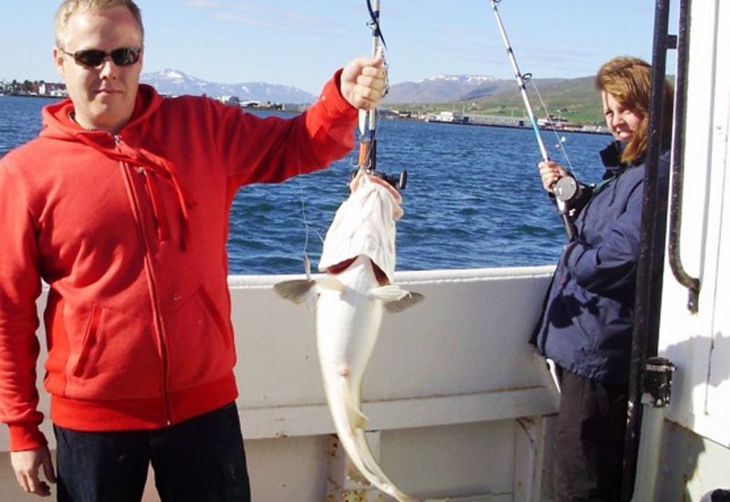 båtutflykt med fiske Island
