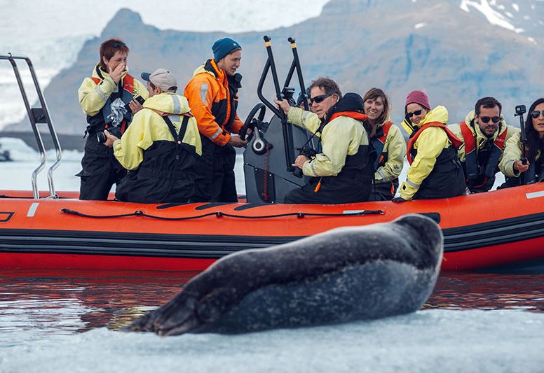 båttur södra island