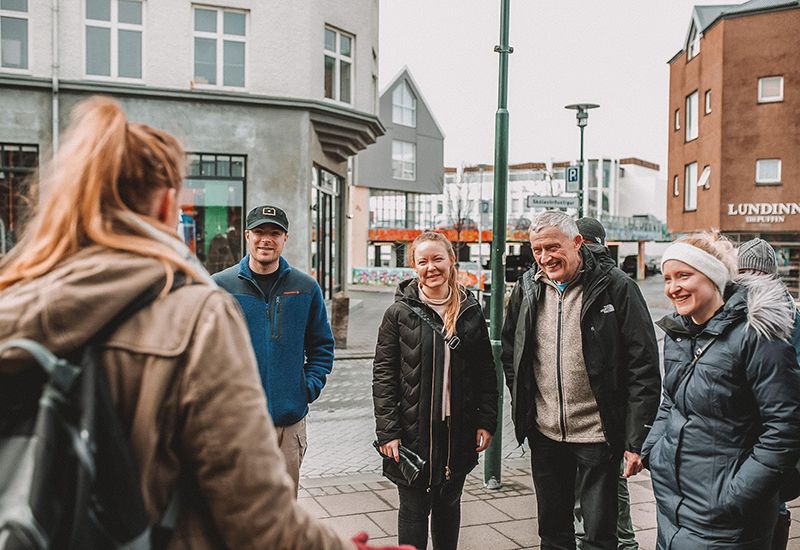 Reykjavik sightseeing med mat