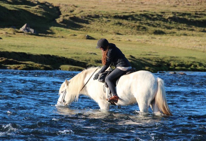 Ridtur med flodkorsning Island