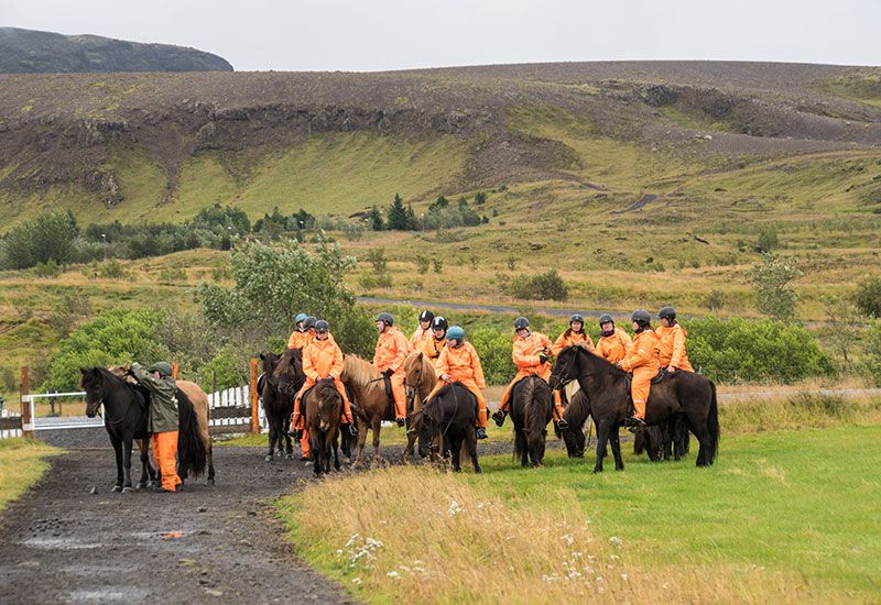 Mellan ängar och fjäll Island