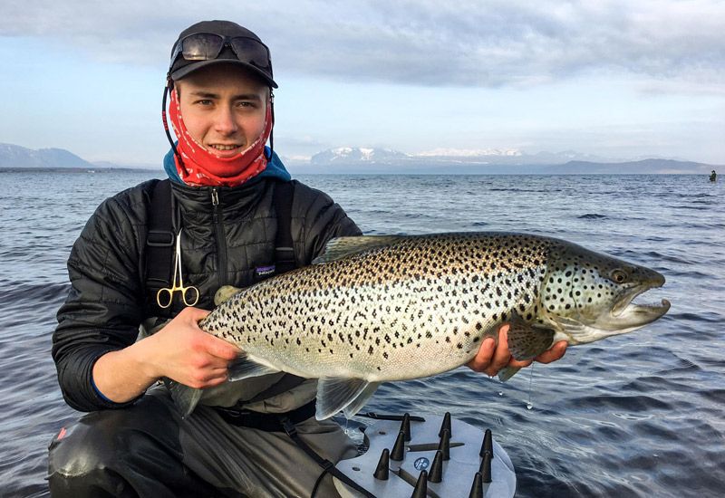 fiske i nationalpark Island