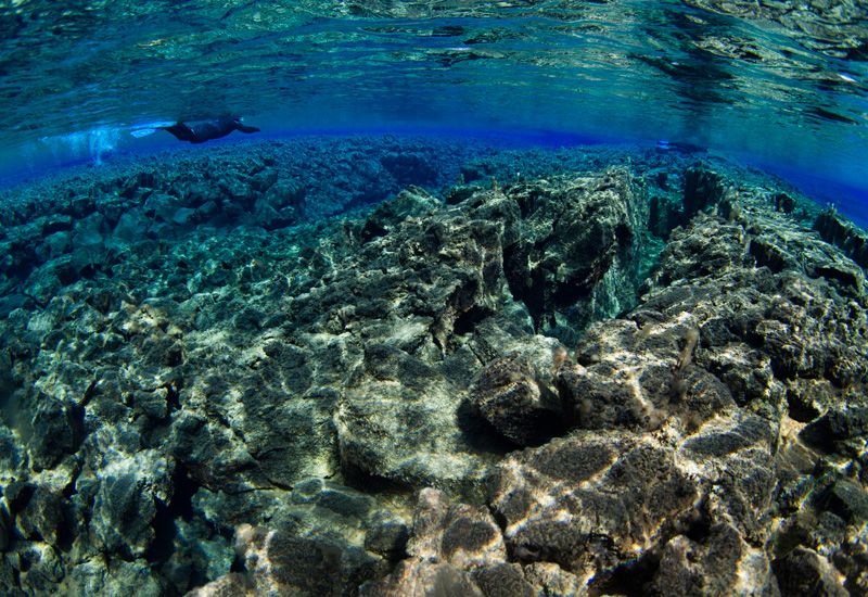 Snorkling Silfra