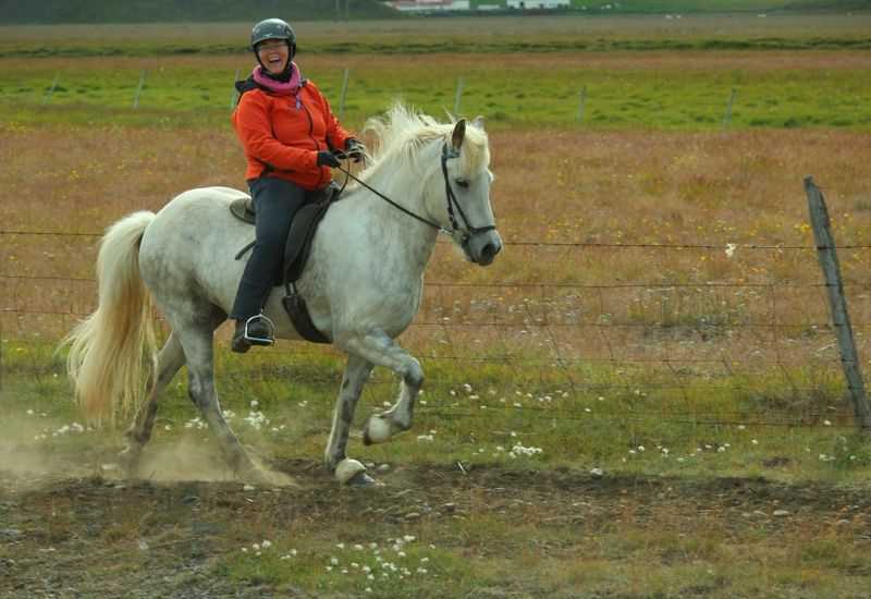 Ridtur vid Reykjafoss