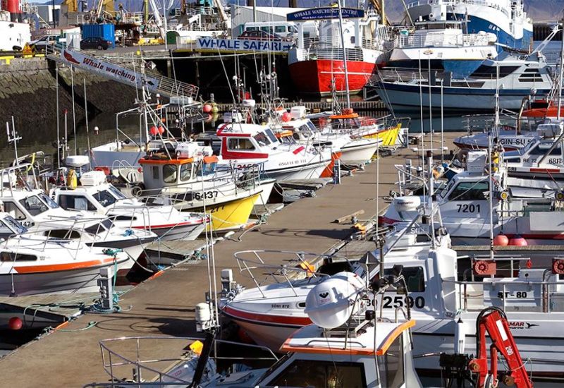 gamla hamnen reykjavik